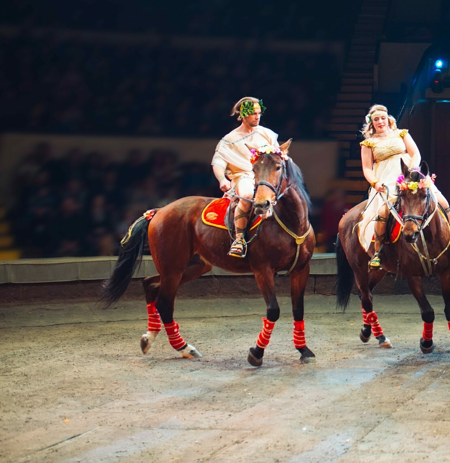 Horses in the circus. Speech horses with trainers on the stage of the circus.